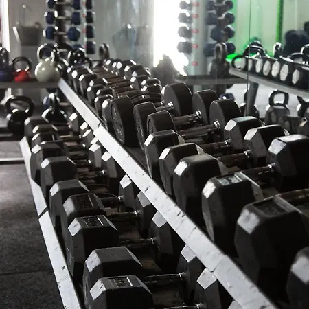 Hollytree Semesterbostad *