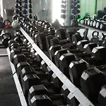 Hollytree 度假居 *